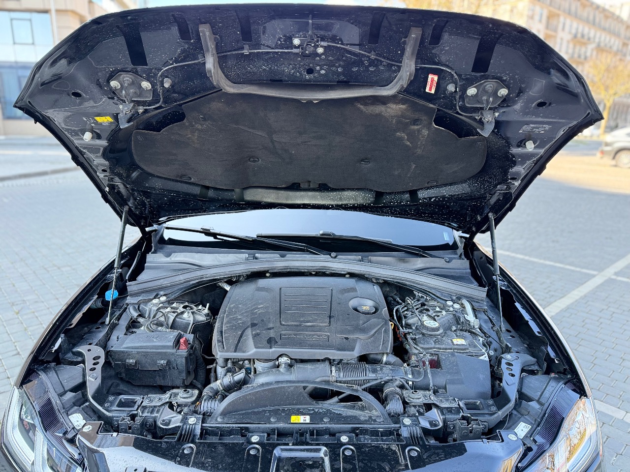 Jaguar F-Pace - фото 38