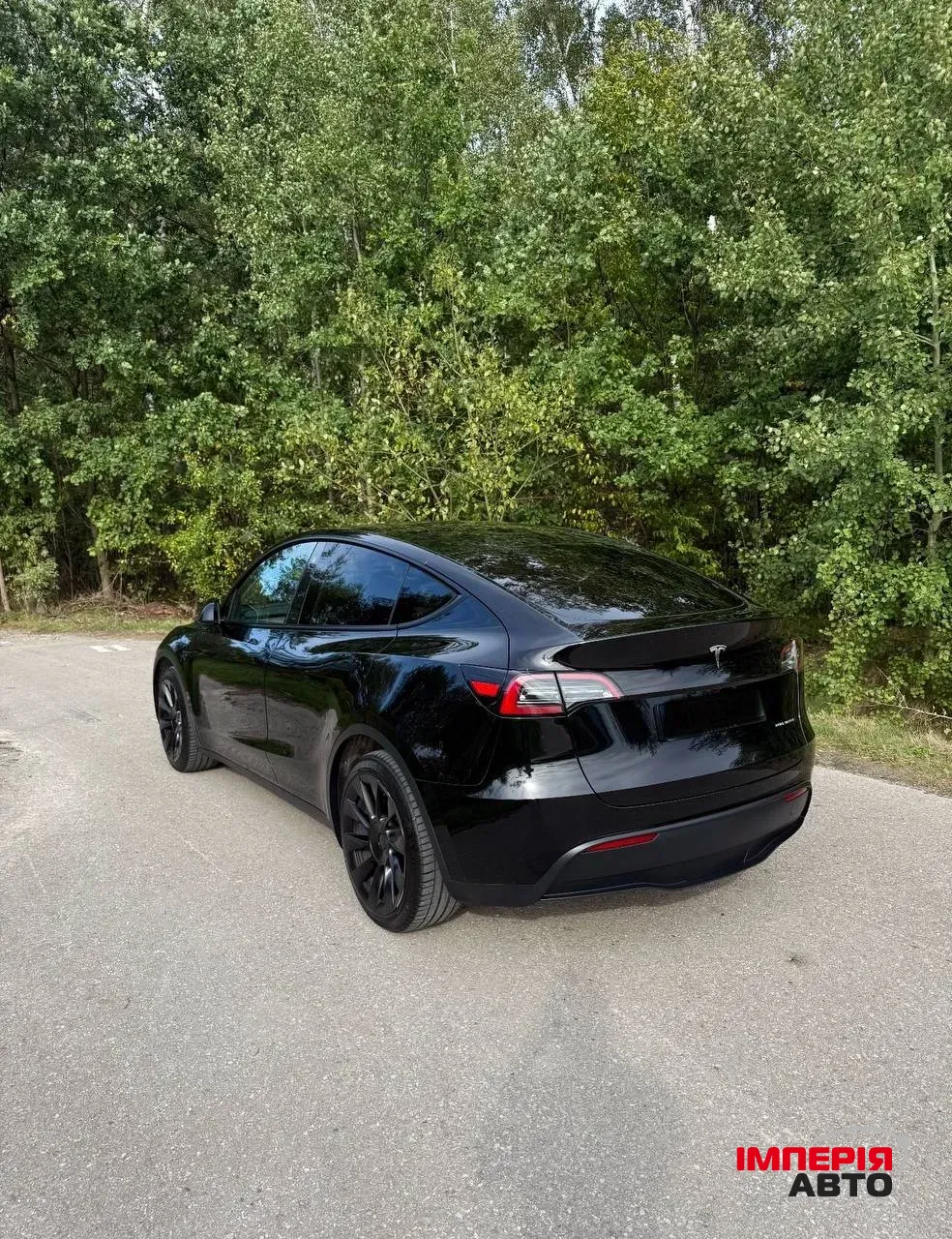 Tesla Model Y - фото 4