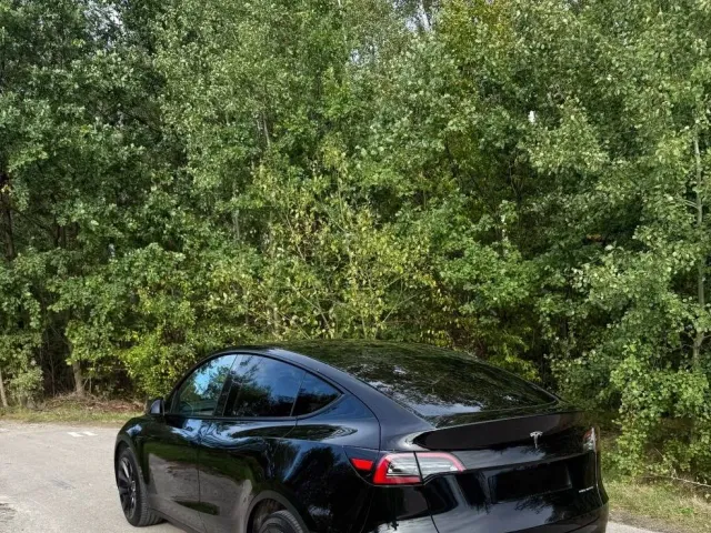 Tesla Model Y - фото 4