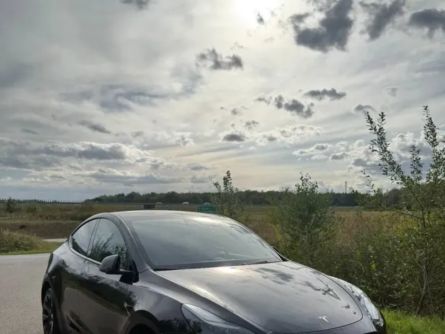 Tesla Model Y - фото 2
