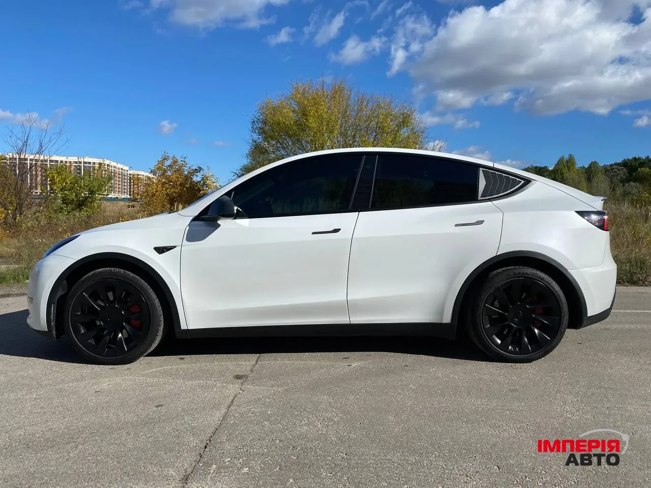 Tesla Model Y - фото 2