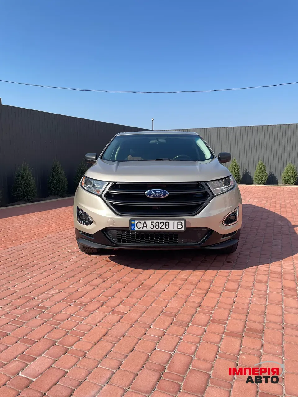 Ford Edge - фото 7