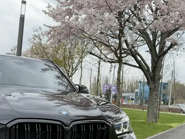BMW X5 M - фото 2