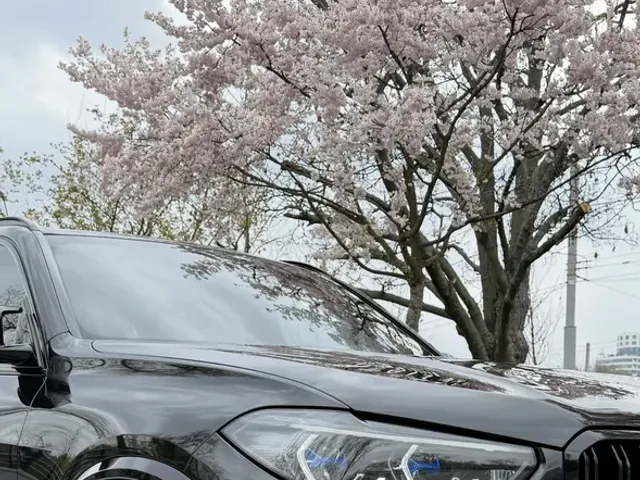 BMW X5 M - фото 3