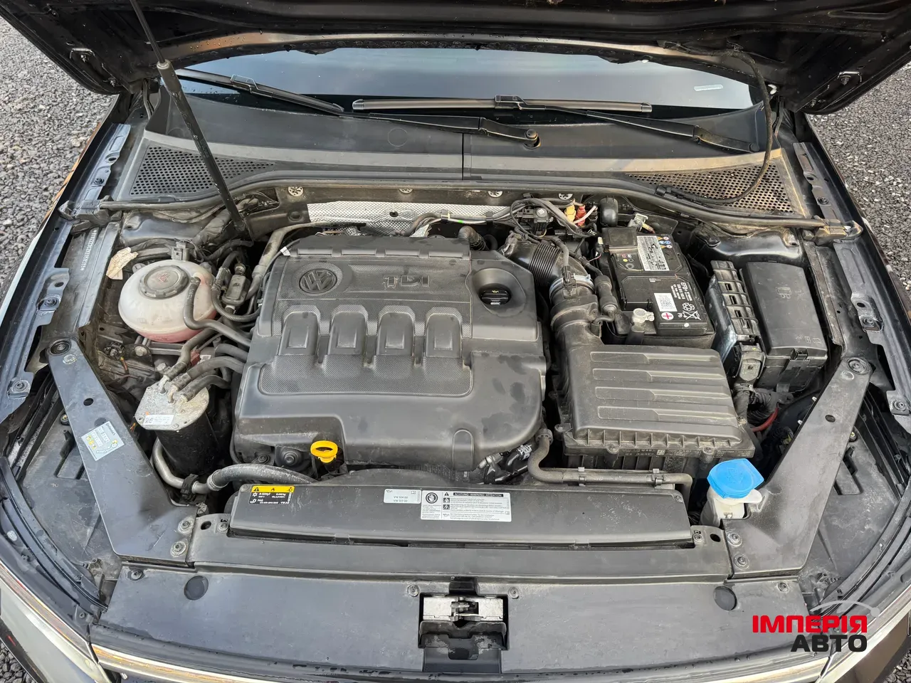 Volkswagen Passat - фото 46