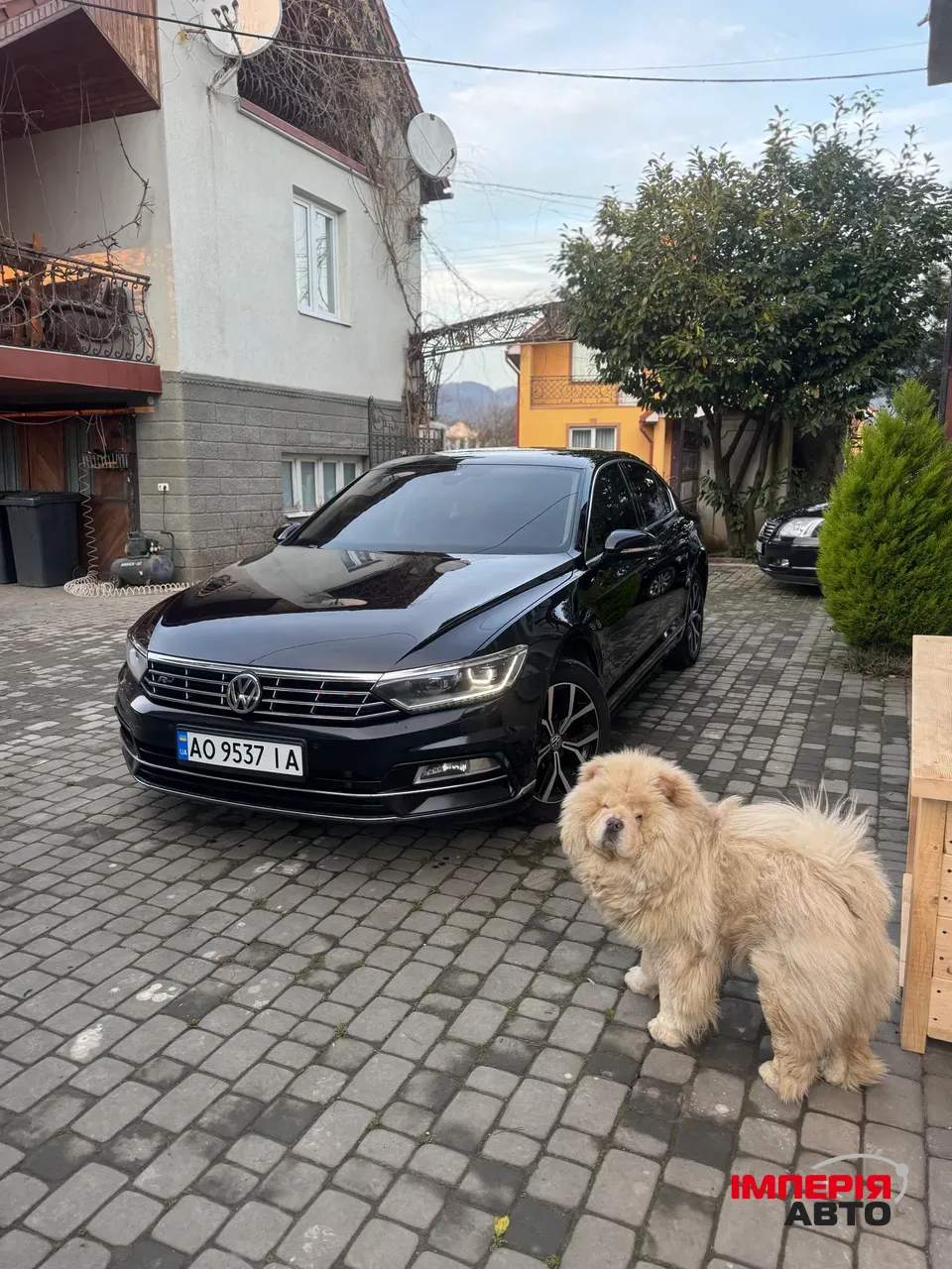 Volkswagen Passat - фото 63