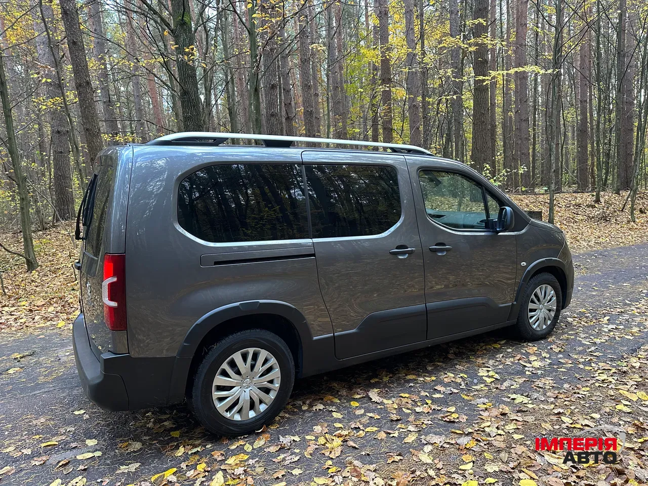 Peugeot Rifter - фото 8