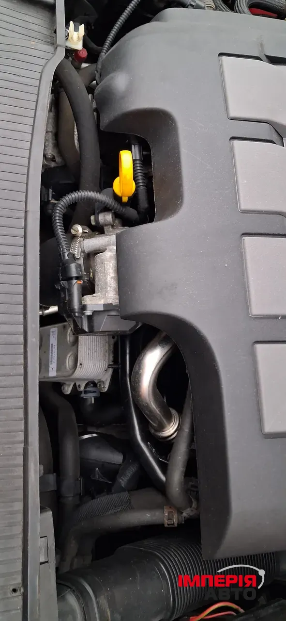 SEAT Ibiza - фото 16