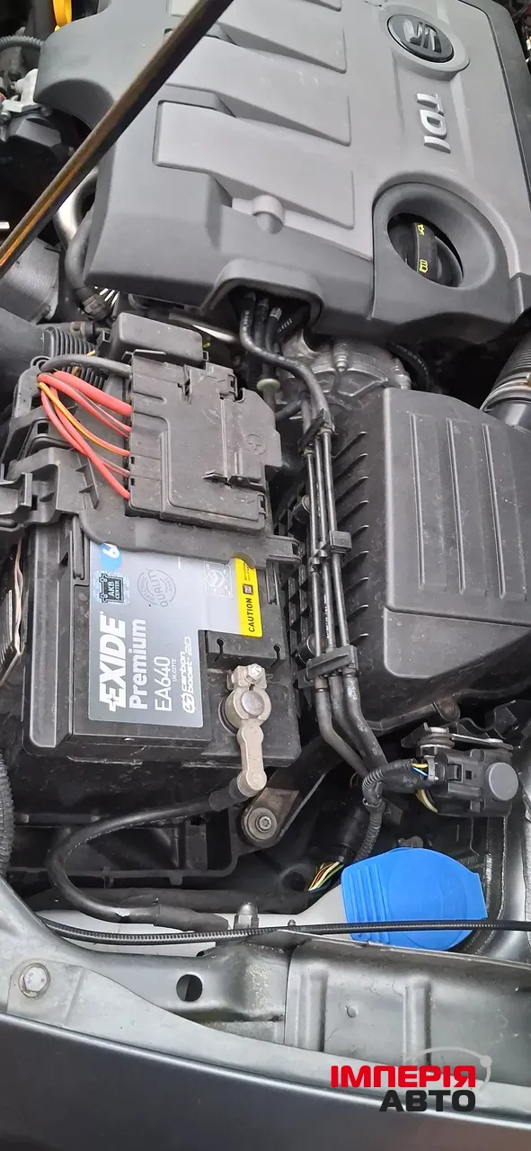 SEAT Ibiza - фото 15