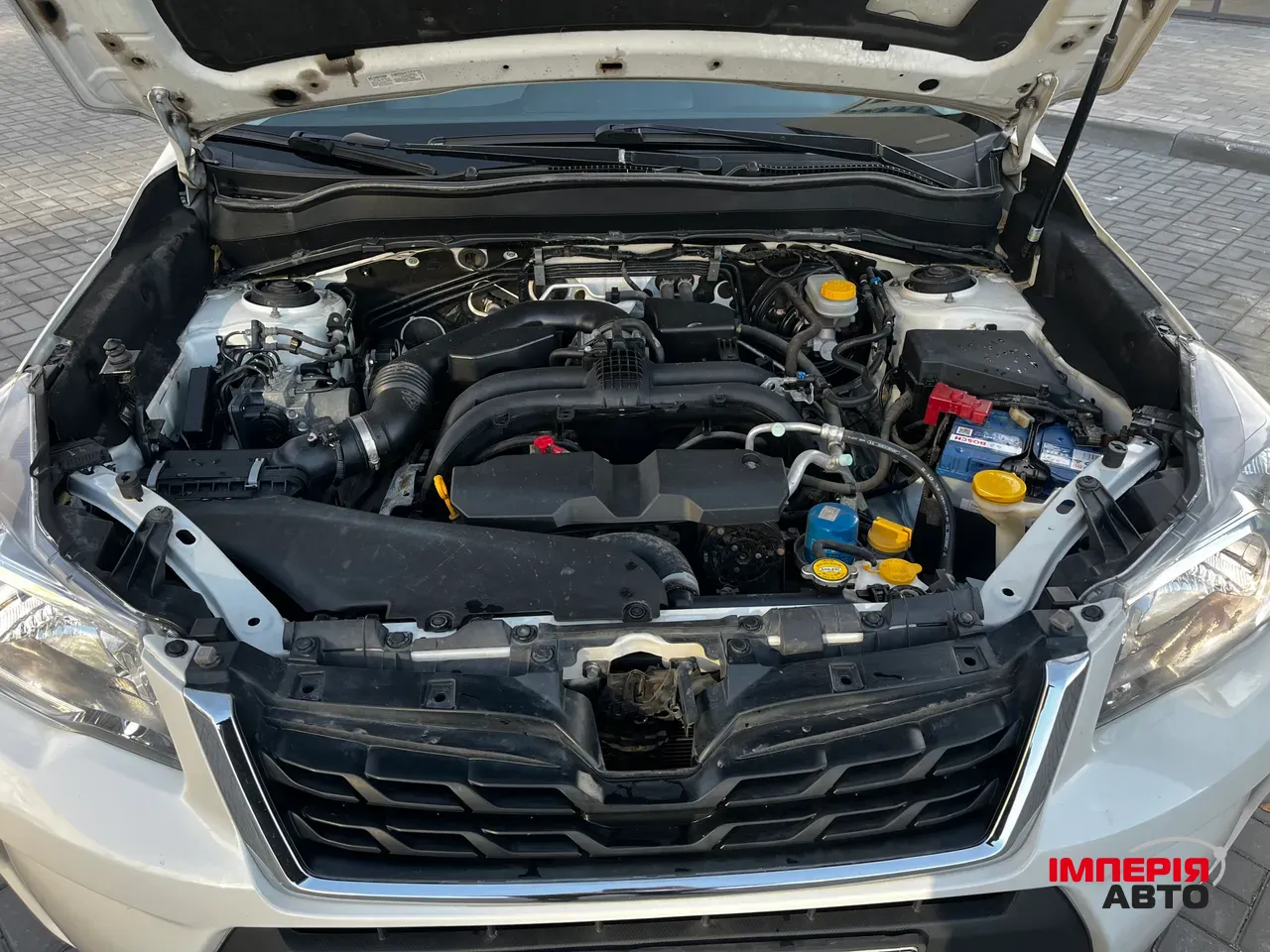 Subaru Forester - фото 37