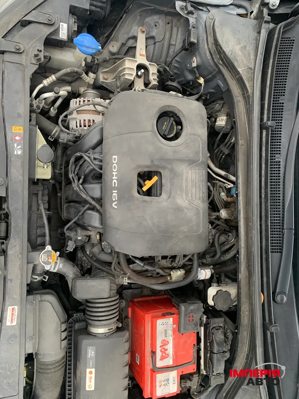 Hyundai Elantra - фото 9