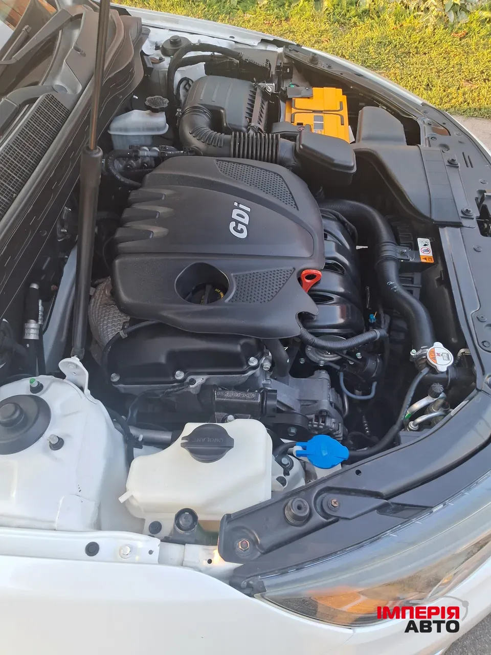 Kia Optima - фото 13