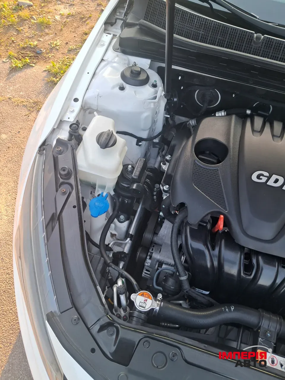 Kia Optima - фото 12