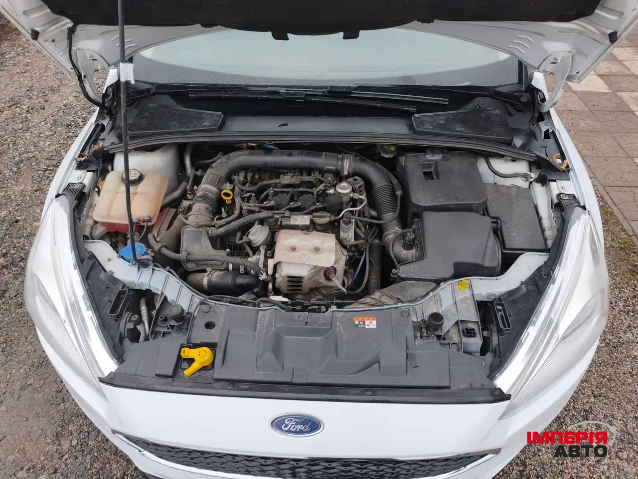 Ford Focus - фото 7