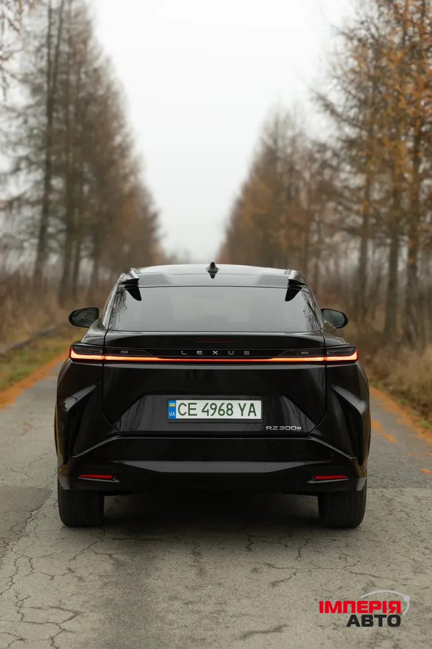 Lexus RZ - фото 16