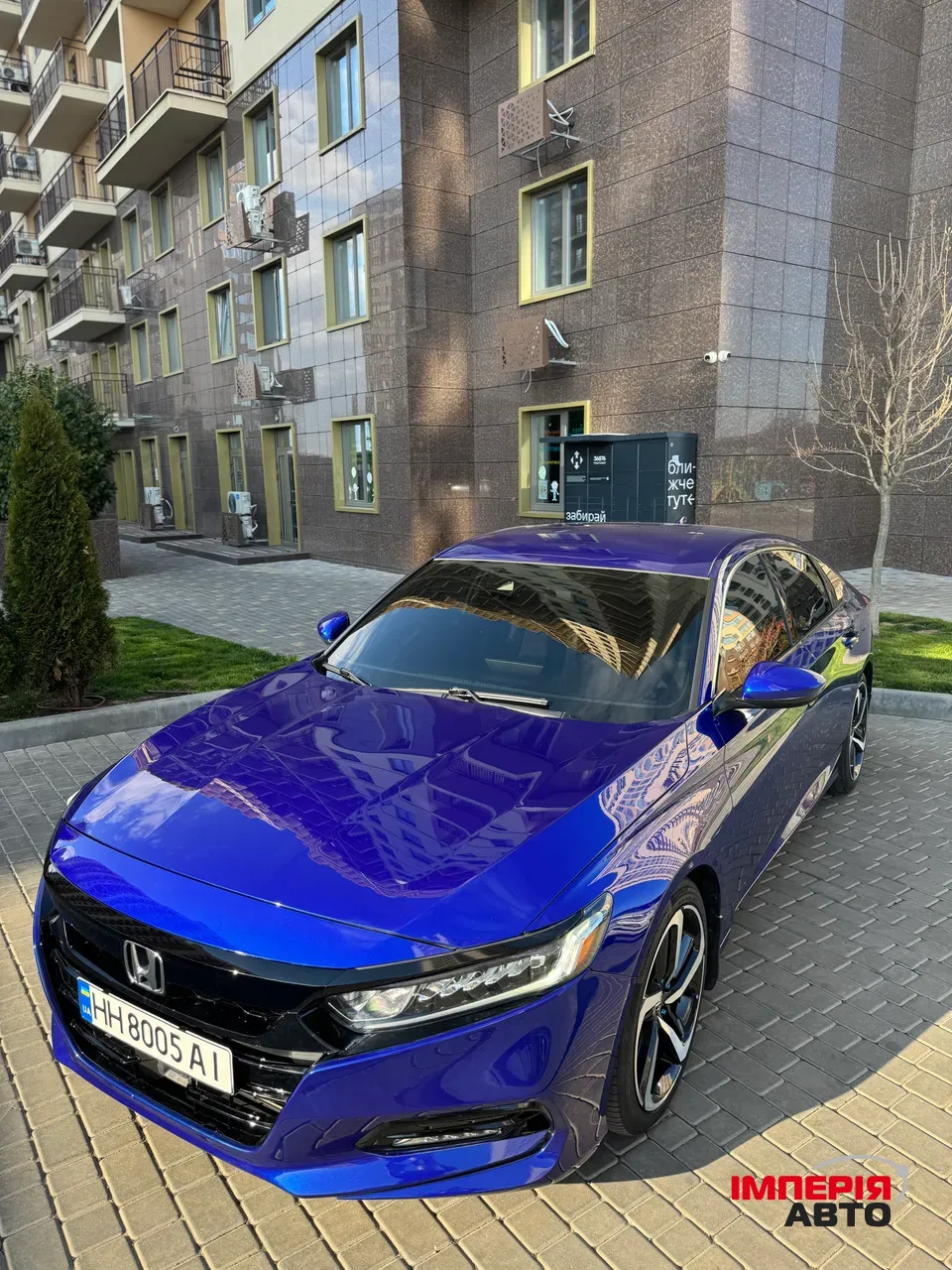 Honda Accord - фото 33