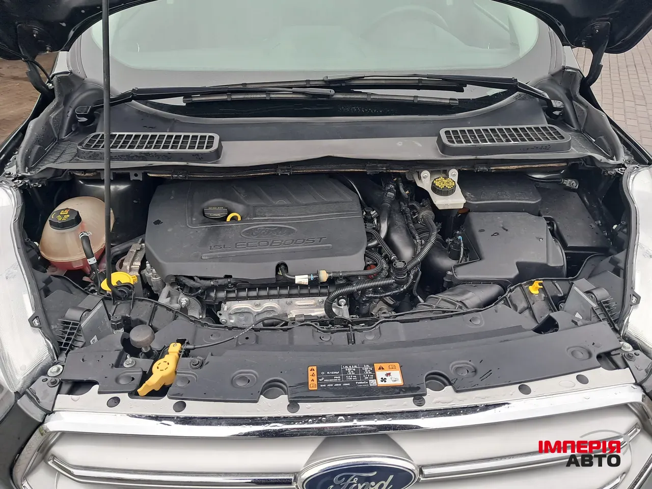 Ford Escape - фото 24