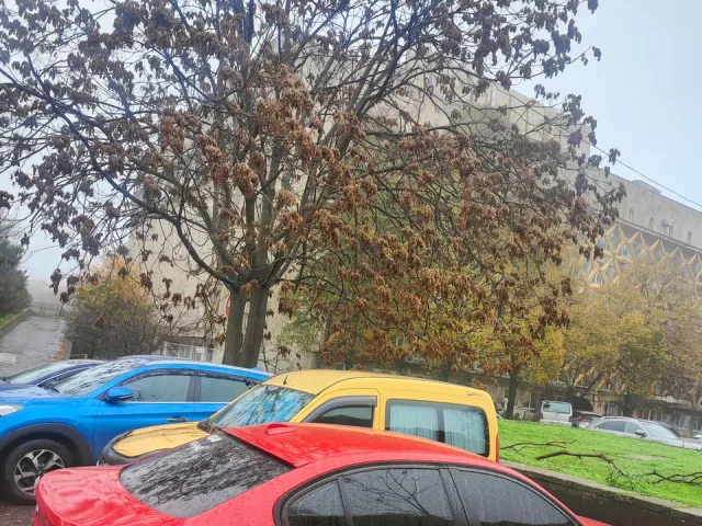 BMW 3 серії - фото 1