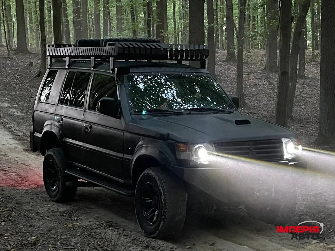 Mitsubishi Pajero Pinin - фото 3