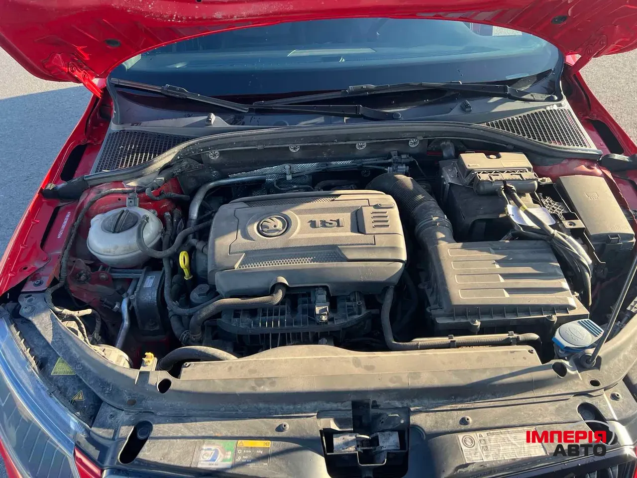 Skoda Octavia RS - фото 31