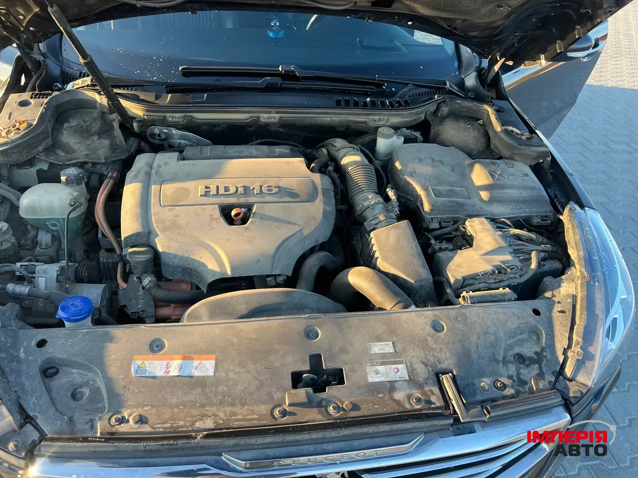 Peugeot 508 - фото 13