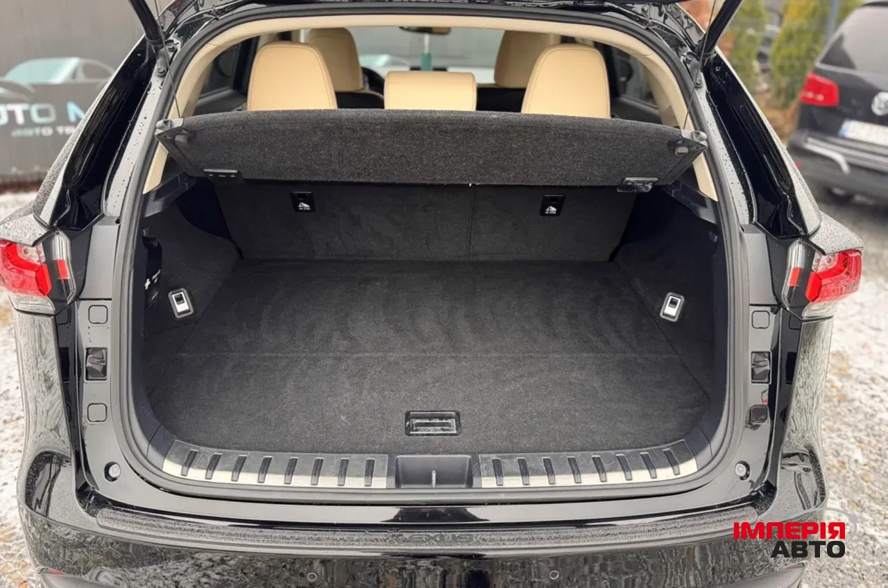 Lexus NX - фото 27