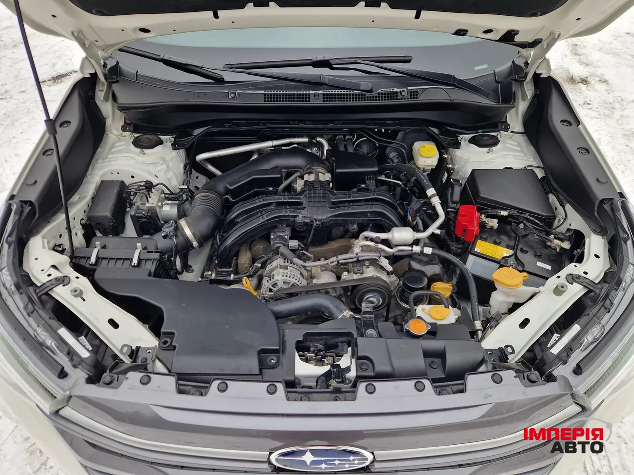 Subaru Forester - фото 45