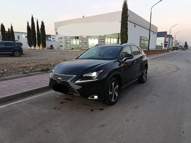 Lexus NX - фото 1