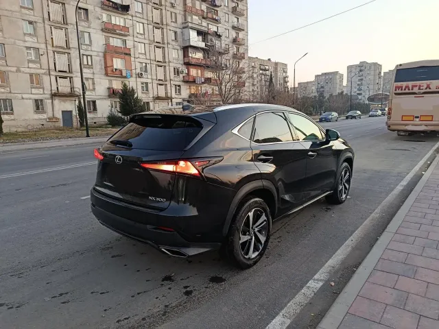 Lexus NX - фото 4