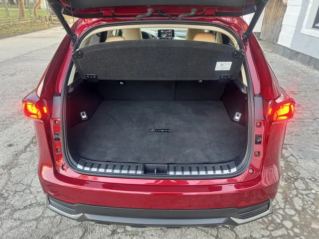 Lexus NX - фото 2