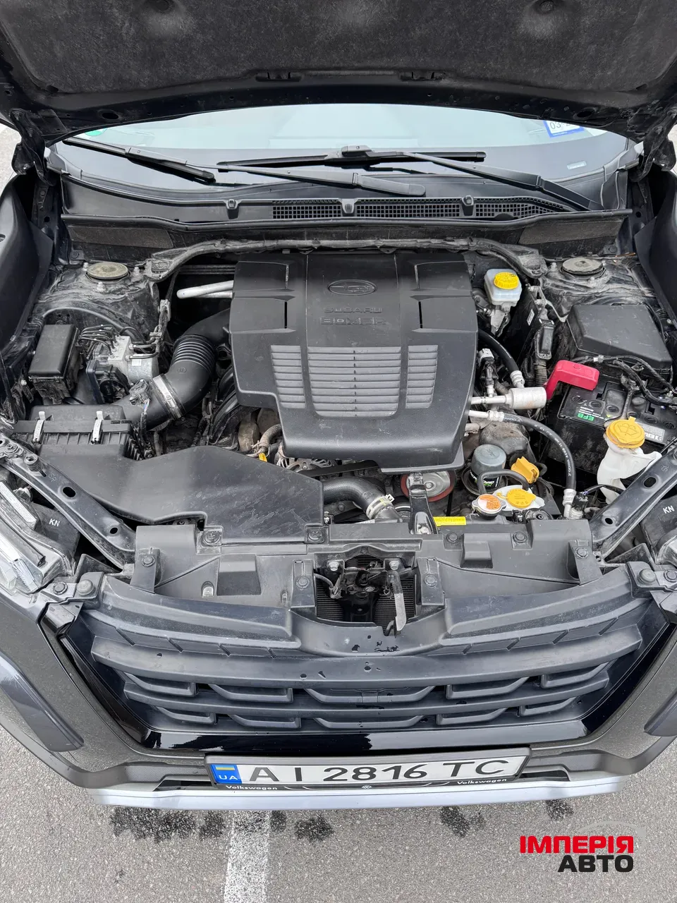 Subaru Forester - фото 43