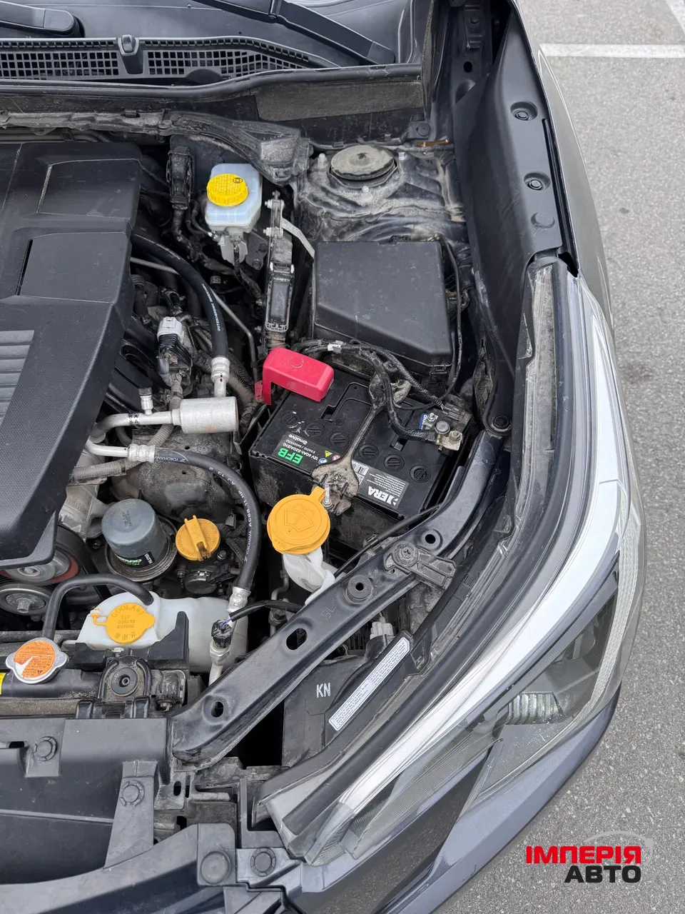 Subaru Forester - фото 44