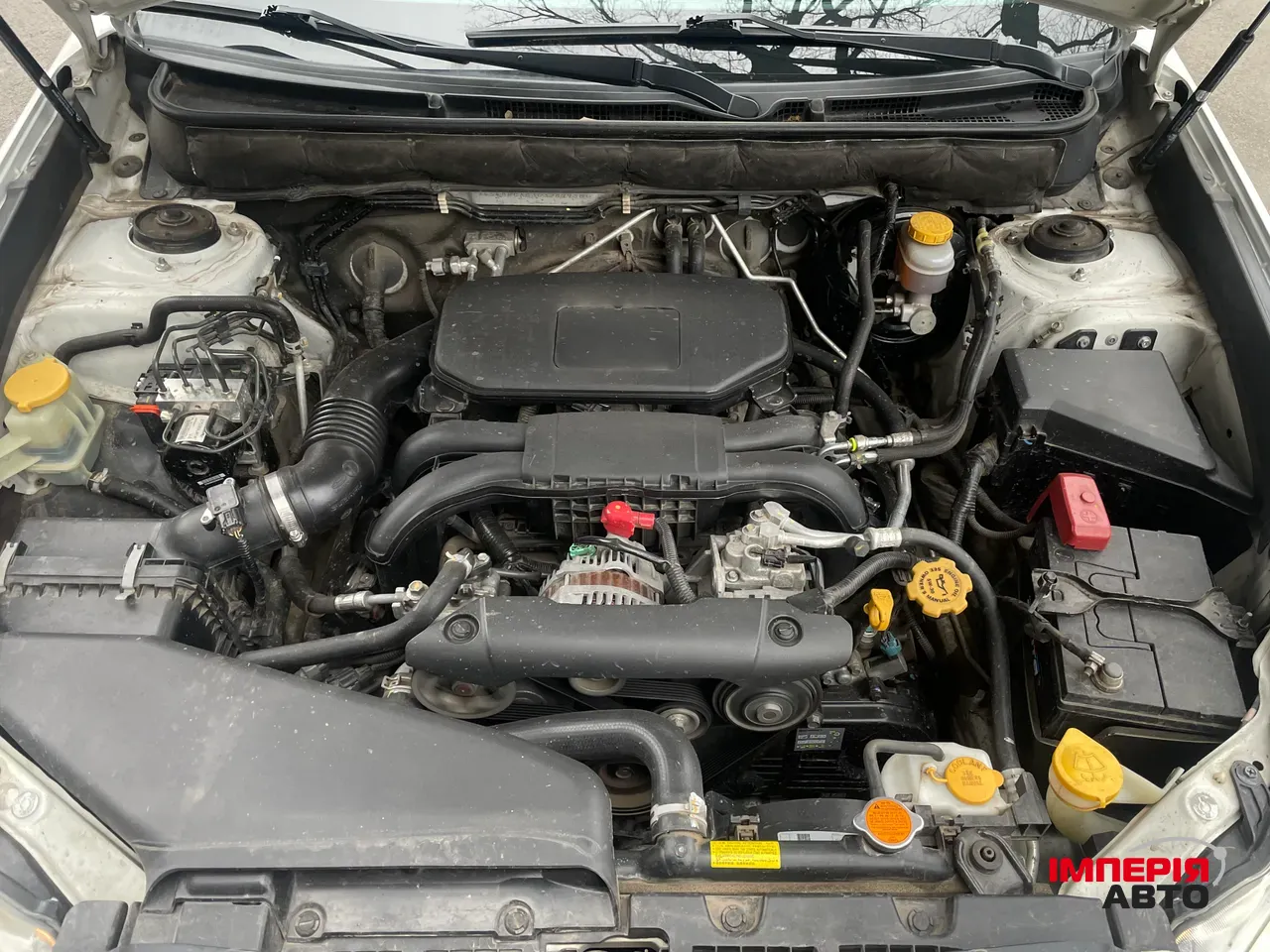 Subaru Outback - фото 33