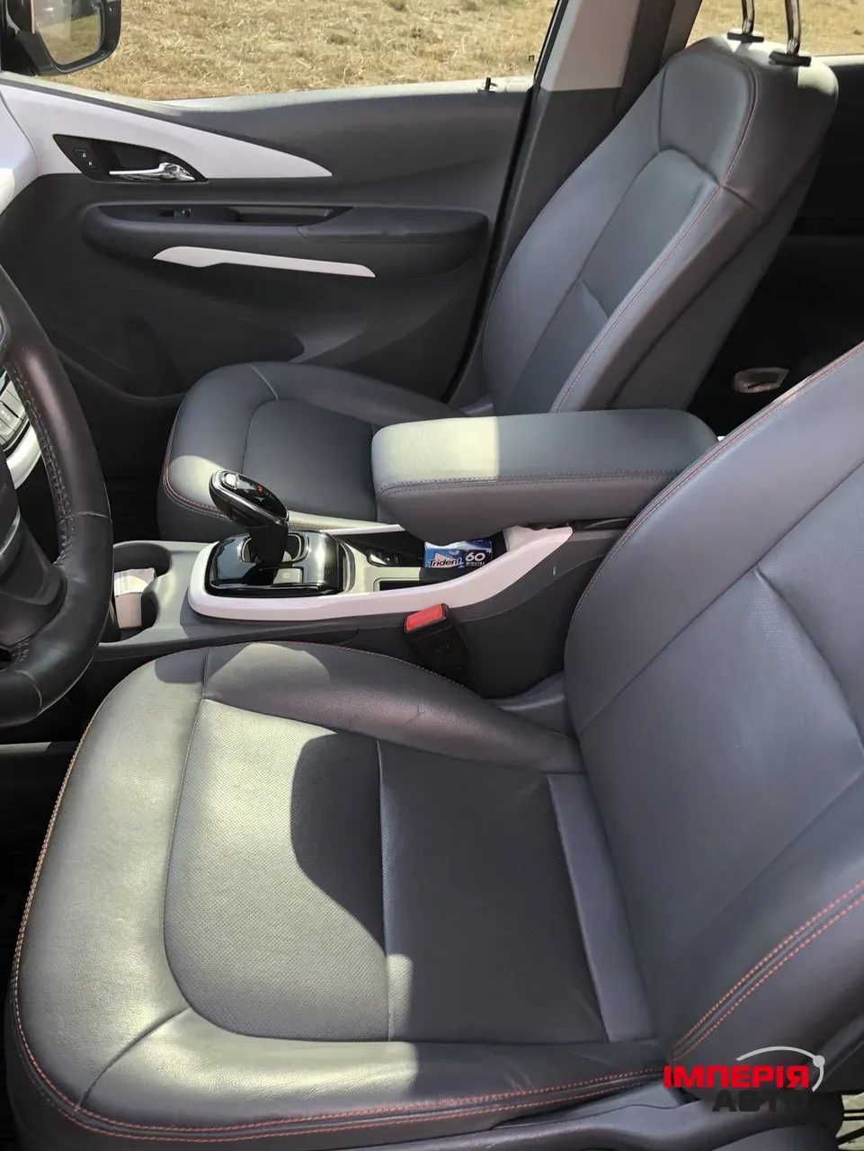 Chevrolet Bolt - фото 18