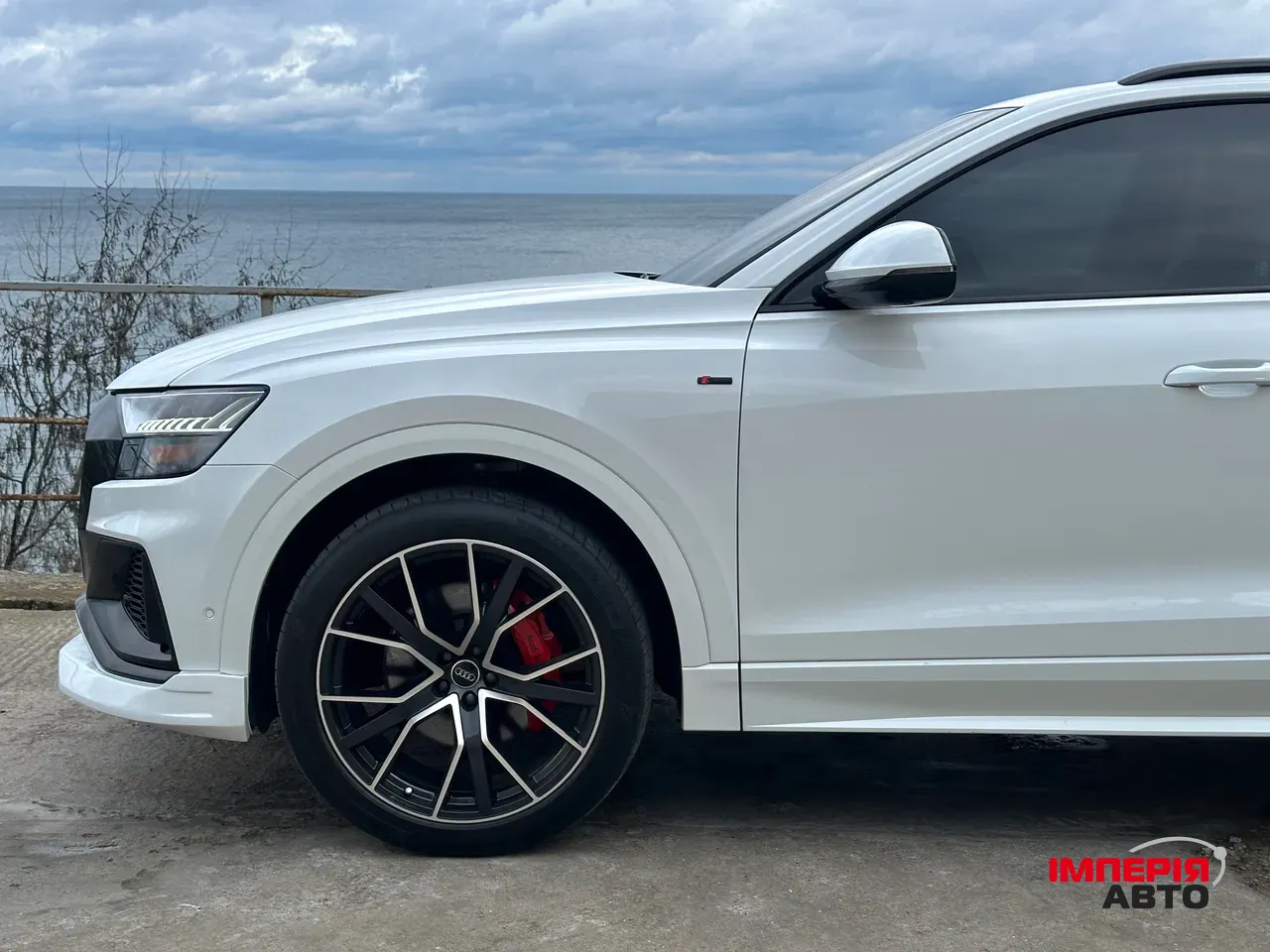 Audi Q8 - фото 6