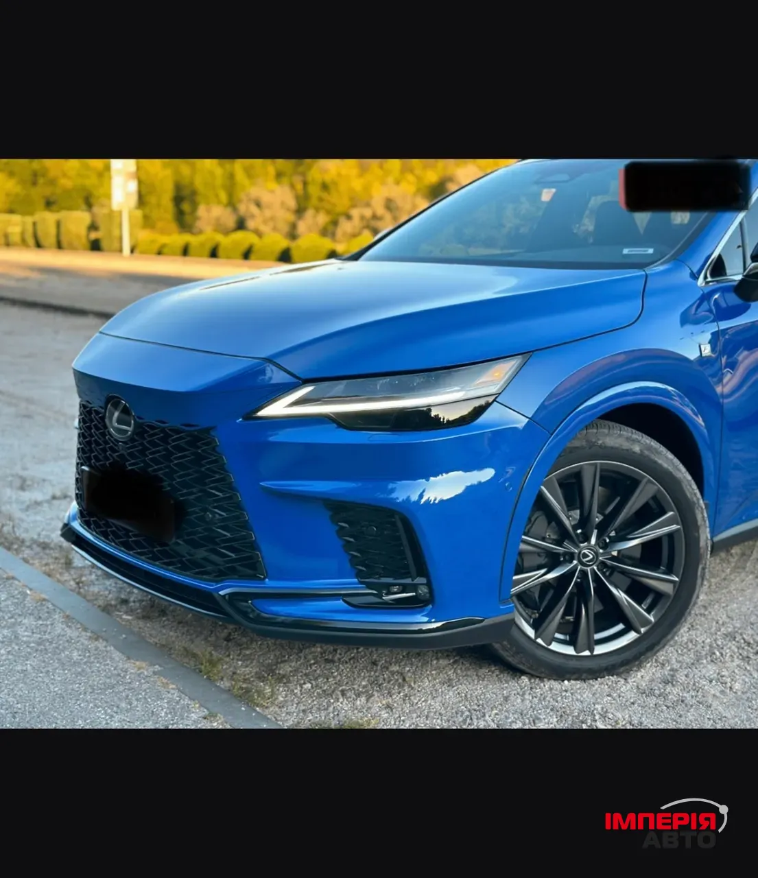 Lexus RX - фото 3