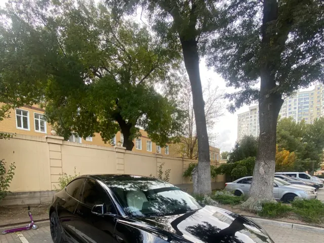Tesla Model 3 - фото 5