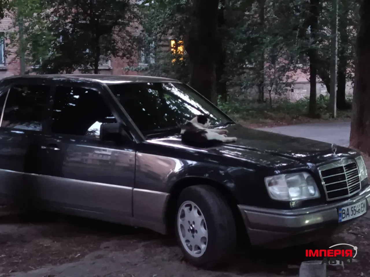 Mercedes-Benz E-Класс - фото 5