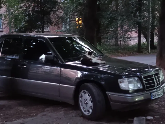 Mercedes-Benz E-Класс - фото 5