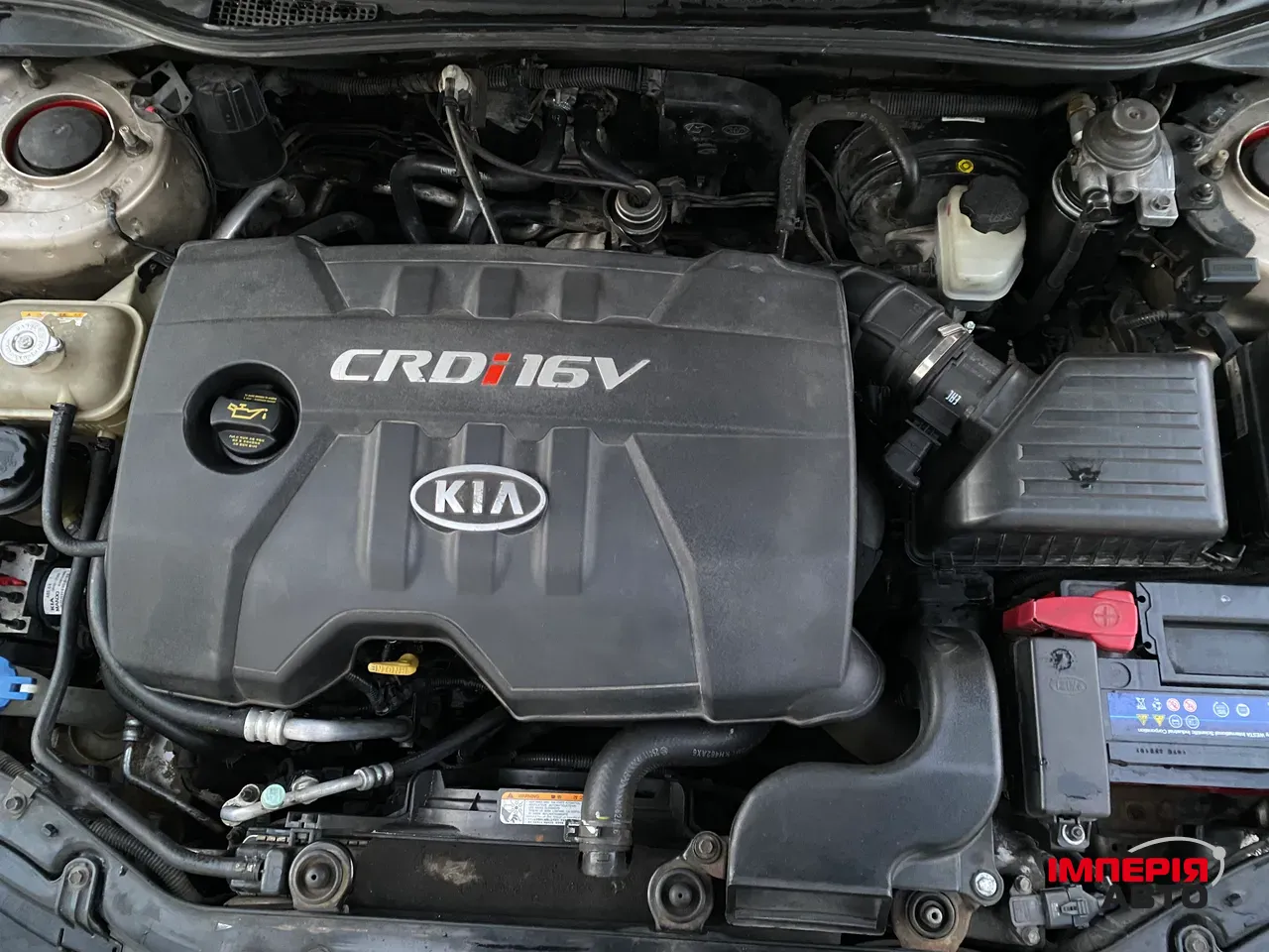 Kia Cerato - фото 4