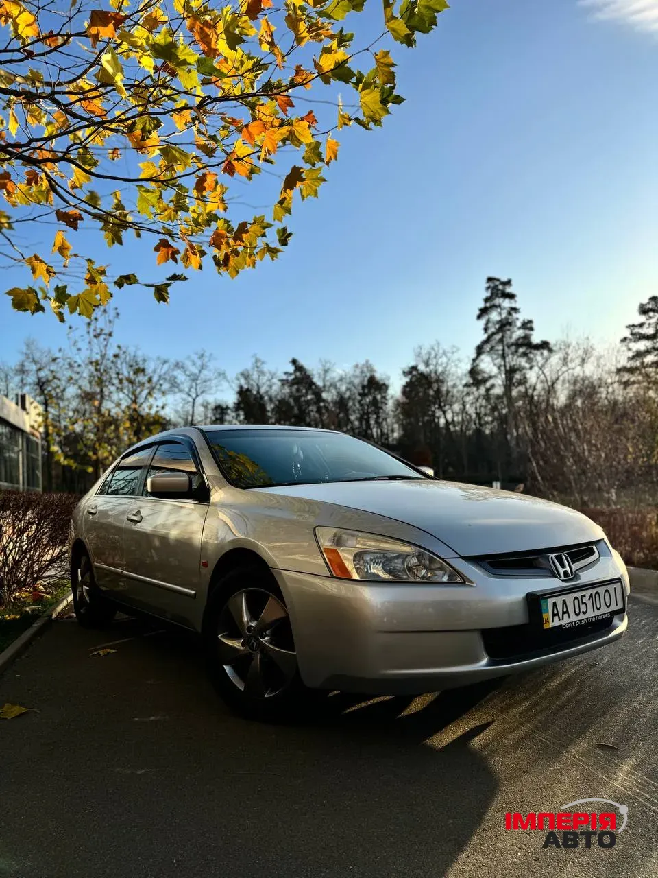 Honda Accord - фото 8