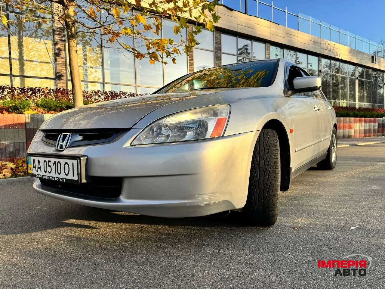 Honda Accord - фото 5