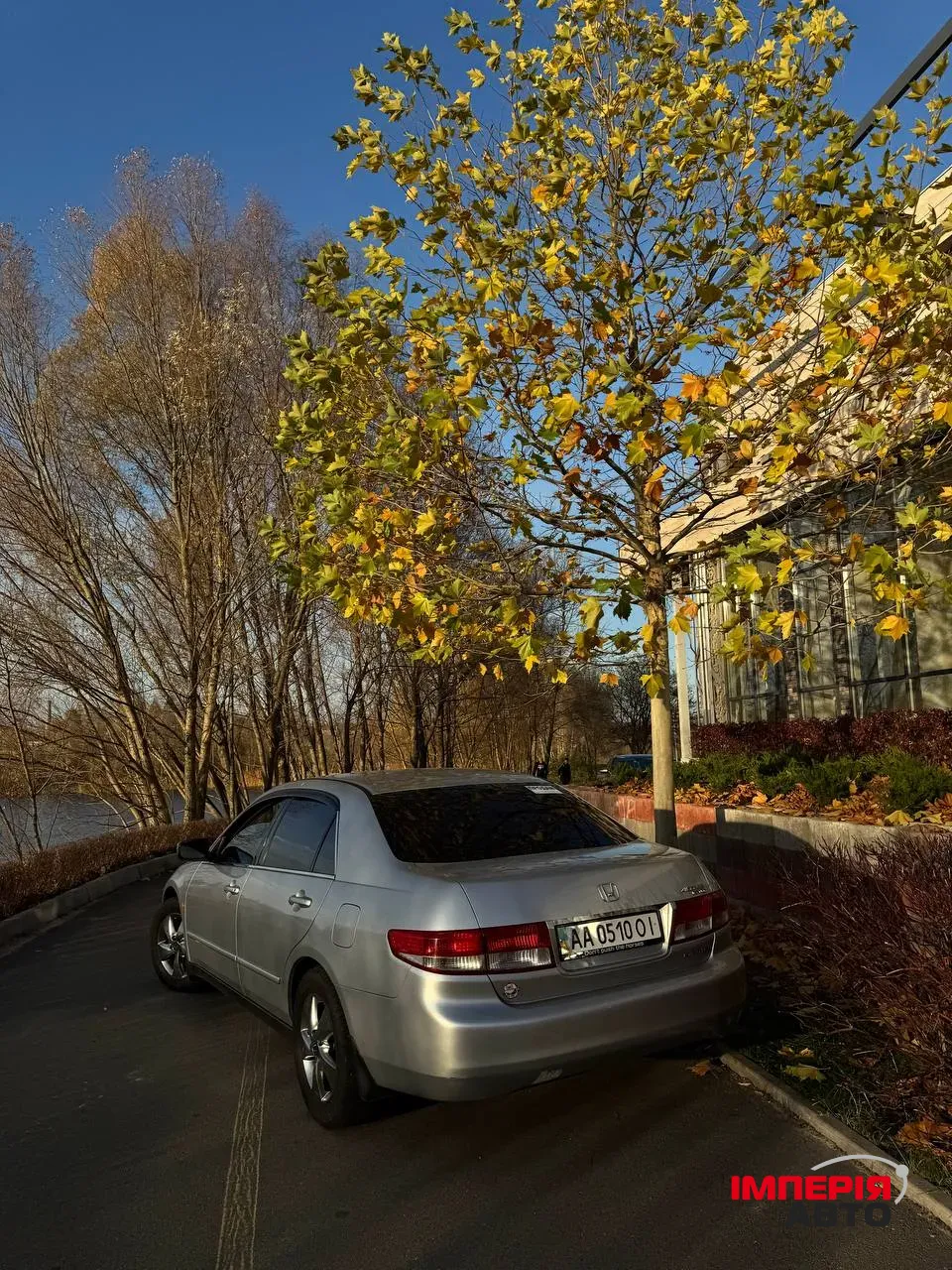 Honda Accord - фото 6