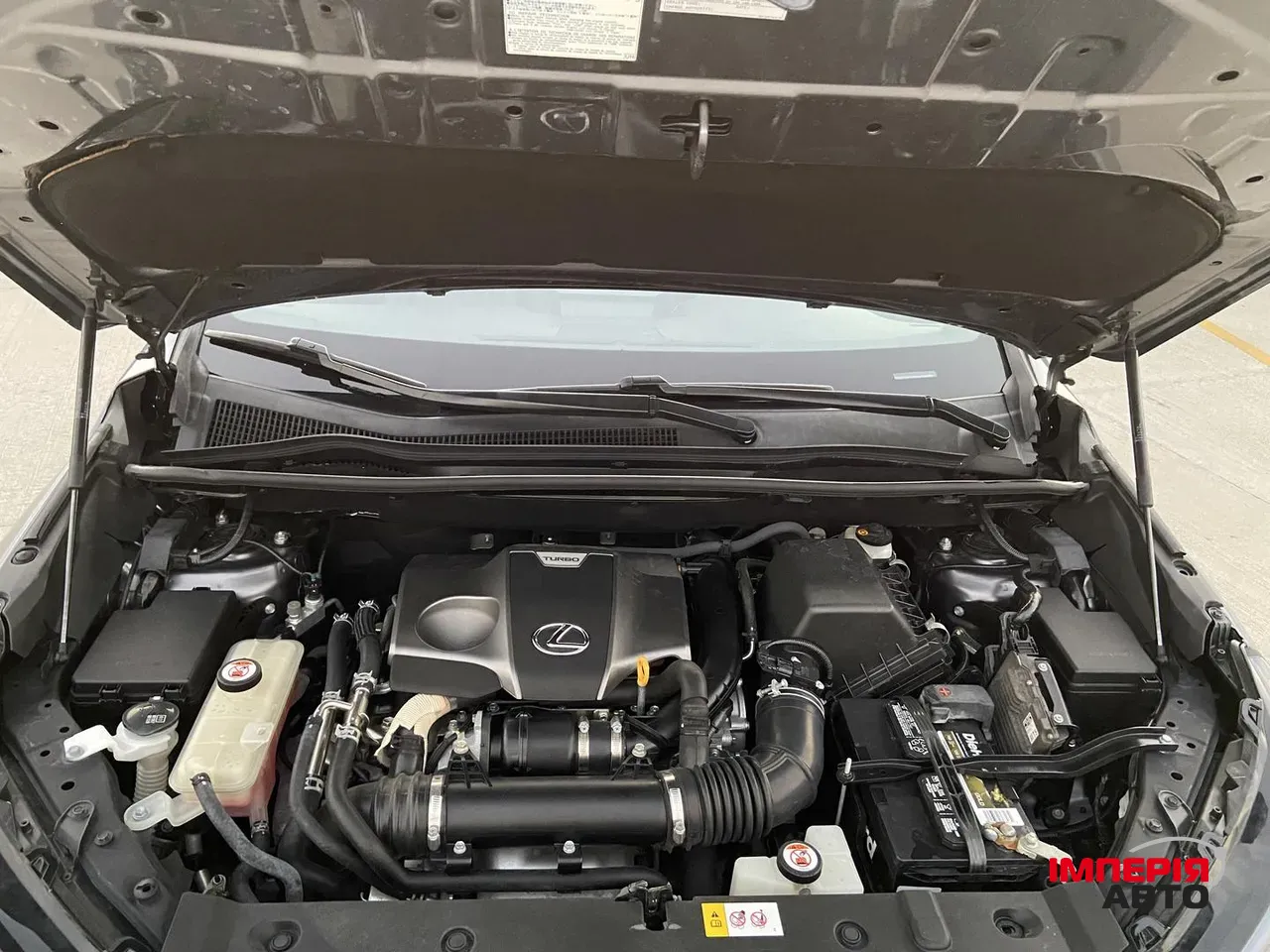 Lexus NX - фото 2