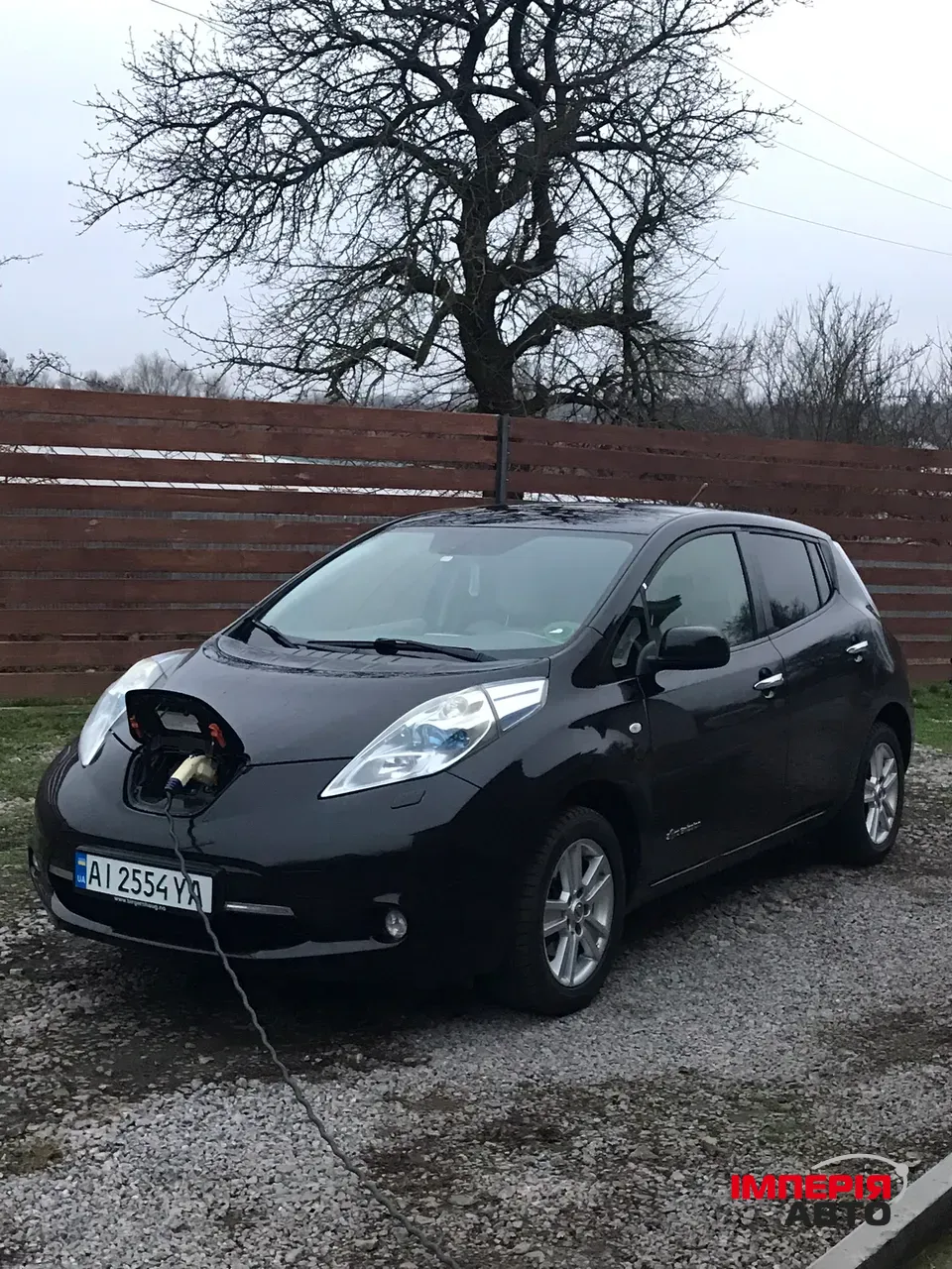 Nissan Leaf - фото 1