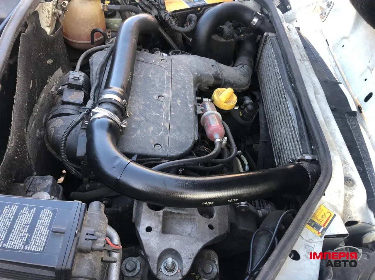 Renault Kangoo - фото 7