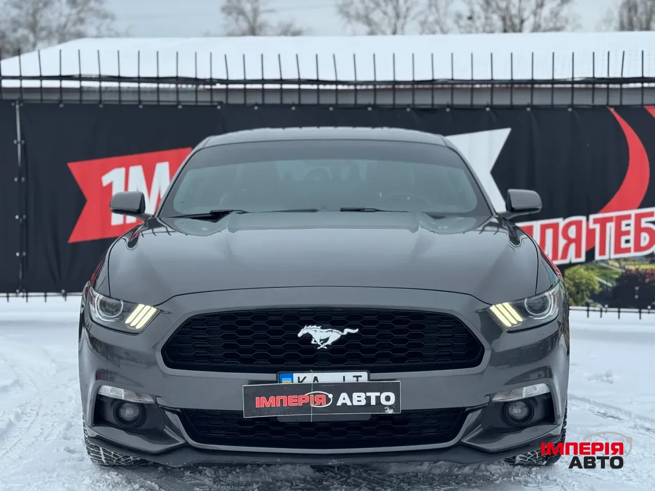 Ford Mustang - фото 3