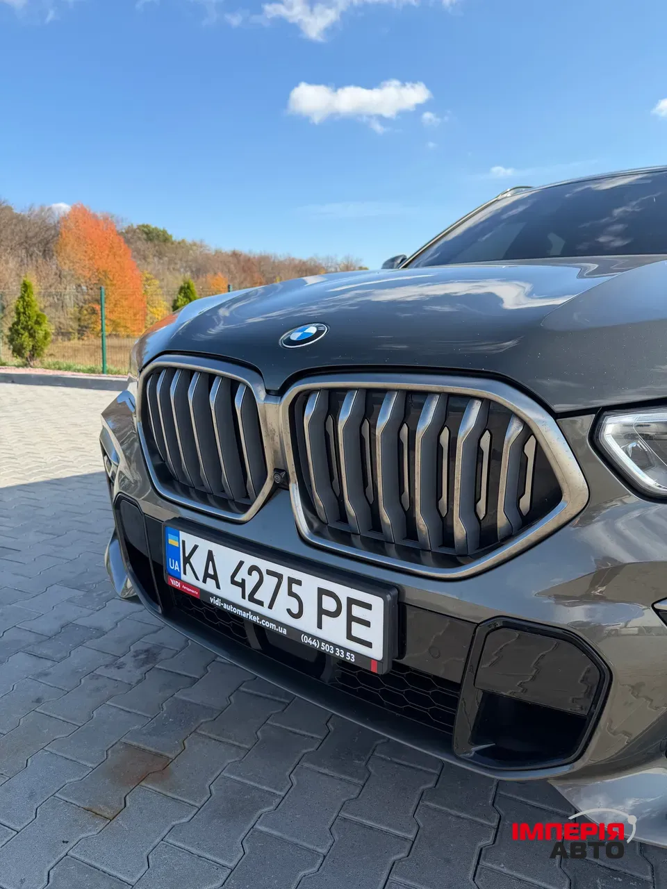 BMW X6 - фото 10