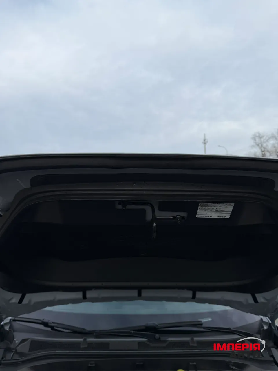 Ford Mustang Mach-E - фото 22