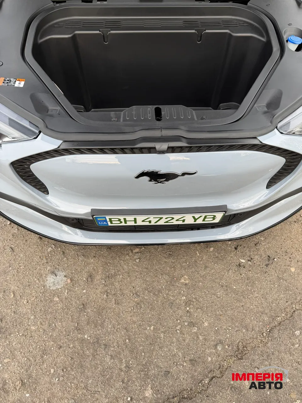 Ford Mustang Mach-E - фото 21